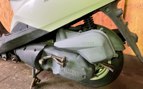 YAMAHA AKUSHI STREET SE53J