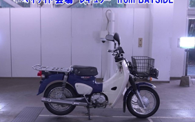 OTHER C110PU LOW 3