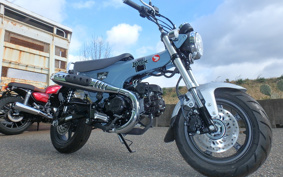 HONDA  DUX 125 JB04