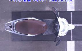 OTHER  LEAD 110EX
