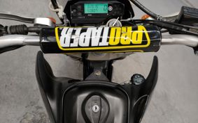 YAMAHA WR250X DG15J
