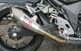 SUZUKI GSX250R DN11A