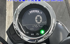 OTHER  MONKEY 125