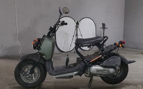 HONDA ZUMAR AF58