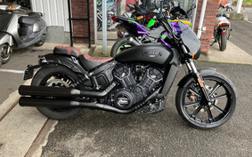 INDIAN Scout rogue 2024