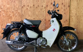 HONDA  SUPER CUB C125 JA48