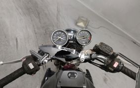 YAMAHA ZEAL 3YX