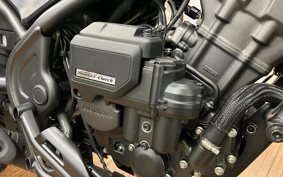 HONDA  REBEL 250 S-ED E-CLUTCH MC49