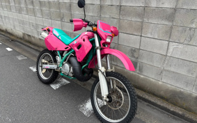 KAWASAKI KDX250SR DX250F