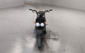 HONDA ZUMAR AF58