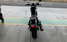 HONDA REBEL MC49