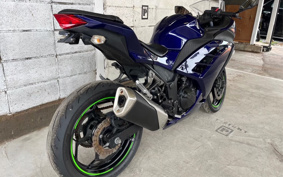 KAWASAKI NINJA 250 EX250L