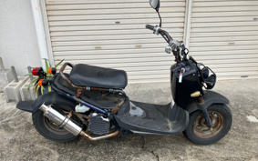 HONDA ZUMAR AF58