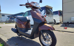 HONDA  TACT  BASIC  AF79