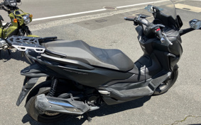 HONDA  FORZA 250 MF13