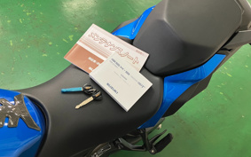 SUZUKI GSX-S1000GT 2023 EK1AA