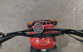 HONDA ZUMAR AF58