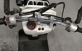 HONDA ZUMAR AF58