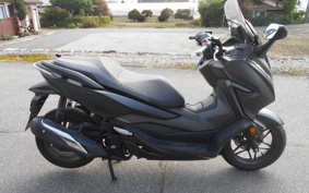 HONDA  FORZA 250 MF13