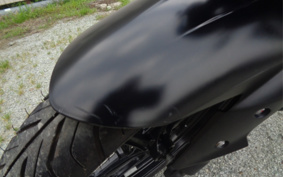 KAWASAKI Z250 ER250C