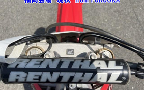 HONDA CRF250 RALLY