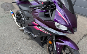 YAMAHA YZF-R25 RG74J