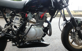 HONDA APE100 HC07