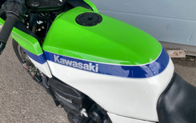 KAWASAKI GPZ900R NINJA 2023 ZX900A
