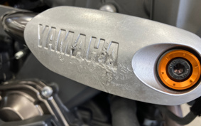 YAMAHA XSR900 2023 RN80J