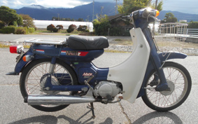 YAMAHA MATE50 V50