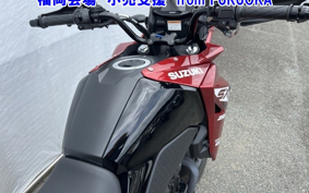 OTHER V STROM 250SX
