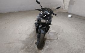 BMW K1300R 0518