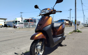 HONDA  TACT  BASIC  AF79