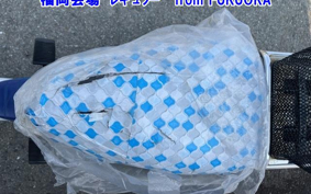 SUZUKI MOLLET