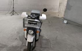 HONDA BENLY110 JA09