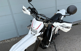 YAMAHA WR250X DG15J