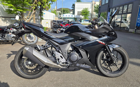 SUZUKI GSX250R DN11A