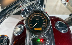 HARLEY  HARLEY FXCWC 2008 JK5