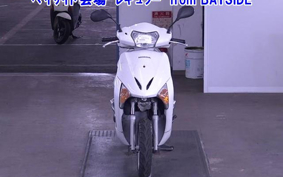 OTHER  LEAD 110EX