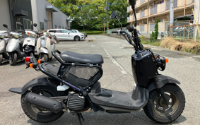 HONDA ZUMAR AF58