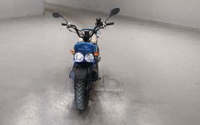 HONDA ZUMAR AF58
