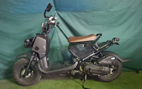HONDA ZUMAR AF58