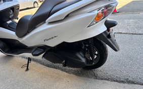 HONDA  FORZA Z SPECIAL EDITION  MF10