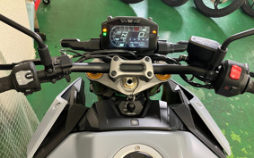 TRIUMPH TRIUMPH STREET TRIPLE 2010 TMD406