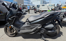 HONDA  FORZA 250 MF13