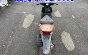 SUZUKI ZZ