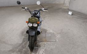 HONDA ZUMAR AF58