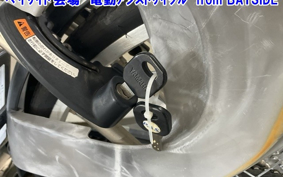 OTHER  YAMAHA DENDOU ASSIST JI TON  CAR 