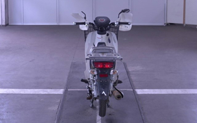 OTHER C110PU LOW 2