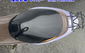 OTHER  DIO CESTA 3